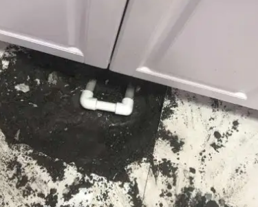 务川仡查漏水哪家好